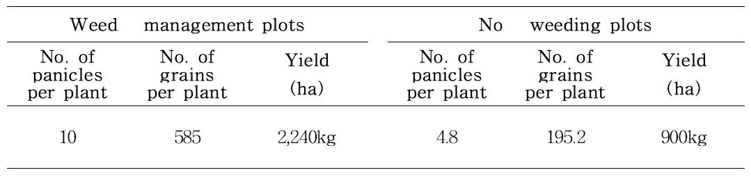 Comparison of Coix lacryma-jobi var. mayuen yield’s between weed management plots and no weeding plots.