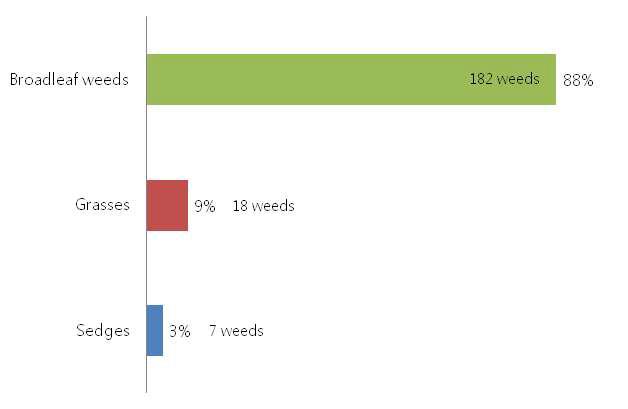 Number of weed species in upland fields based on morphometric characteristics in 2014 in Korea.