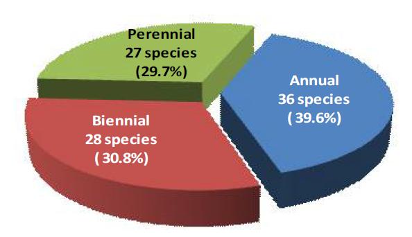 Classification of occurred weeds in Lycium chinense upland fields by life cycle in 2015 in Korea.