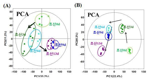 복분자 식초의 초산 발효 별 PCA