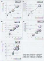 각 출원국가별 기술시장 성장단계, 2011 국가 R&D 특허기술동향조사 사업