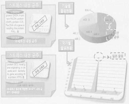 Mitsukan 특허 포트폴리오 분석