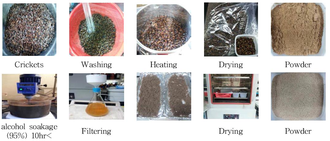 Preconditioning process of crickets