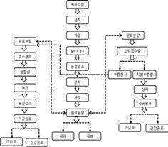 The flow chart for development of processed food material using cricket powder