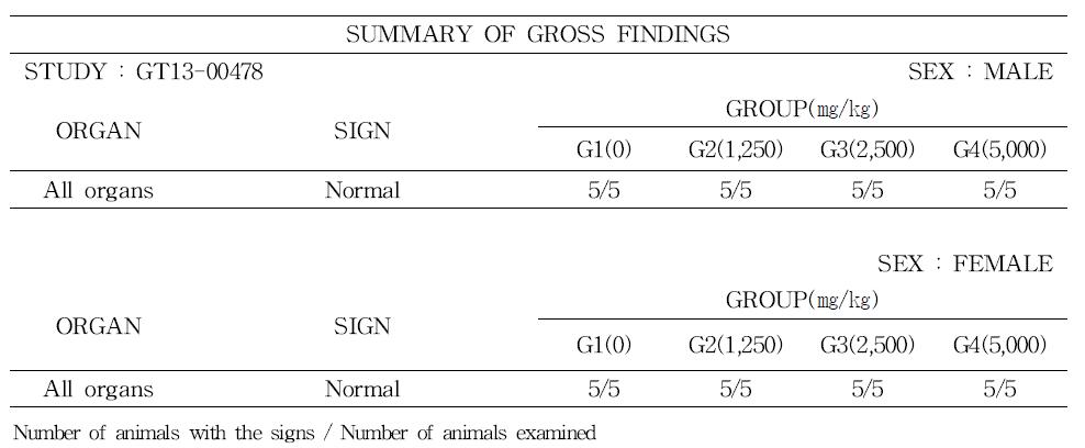 Gross findings of rats