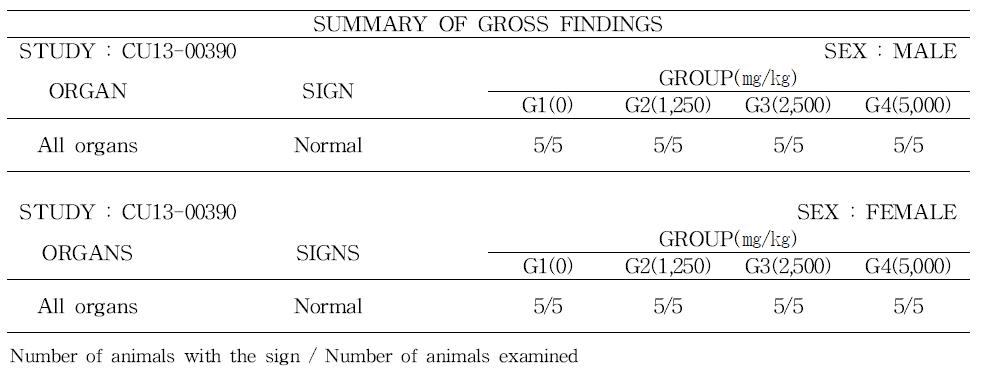 Gross findings of rats