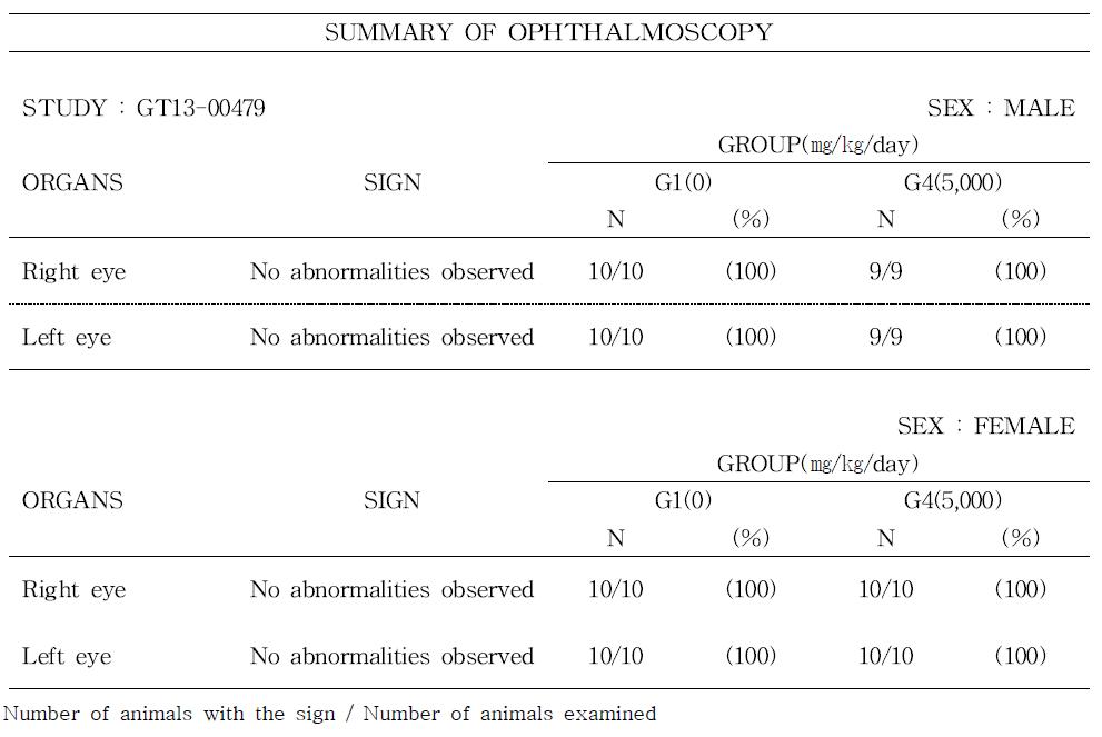 Ophthalmoscopy of rats