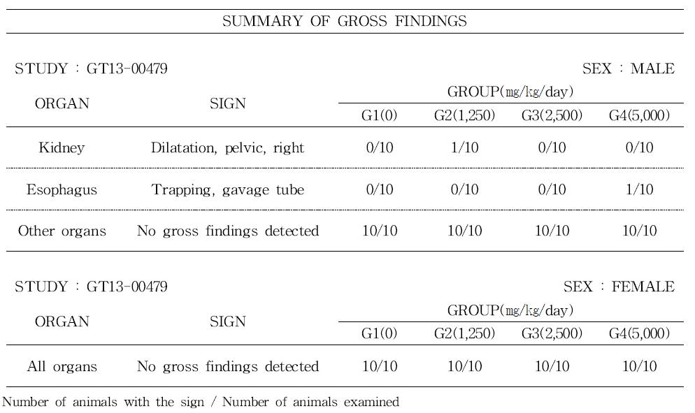 Gross findings of rats