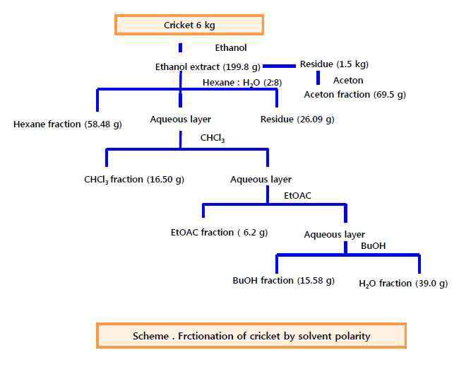 귀뚜라미 알콜추출물에서 용매 분획제조 모식도
