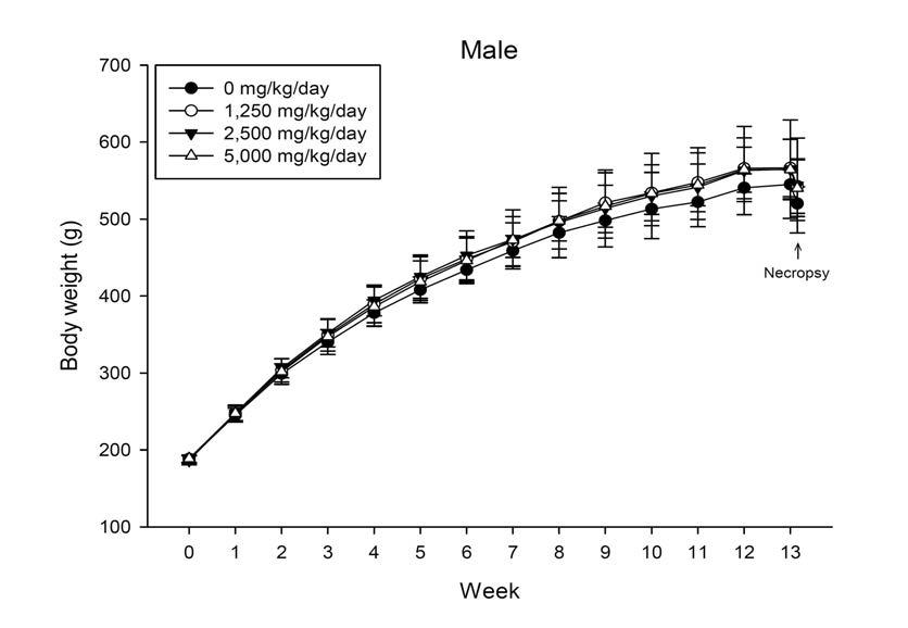 Body weight changes of male rats