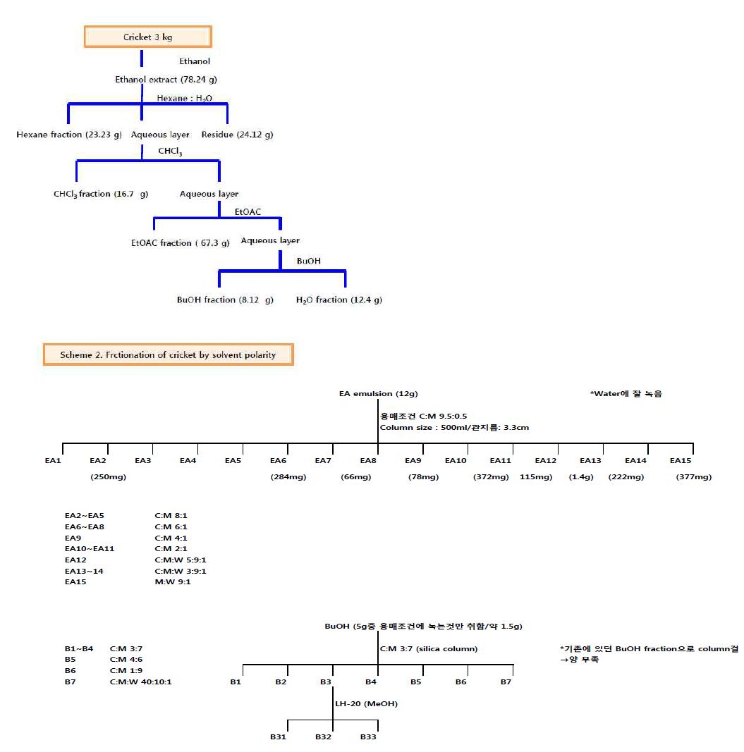 귀뚜라미 에칠아세테이트, 부탄올 분획 정제 모식도