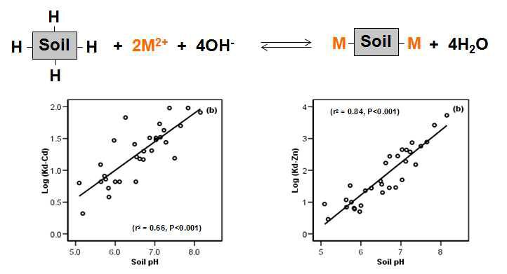 토양 pH가 토양 중 카드뮴과 아연의 유효도에 미치는 영향