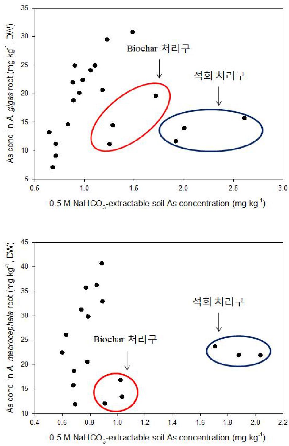 1년근 당귀, 백출 뿌리 내 비소와 수은의 축적 농도와 토양 식물유효태(0.5 M NaHCO3) 비소 함량과의 관계