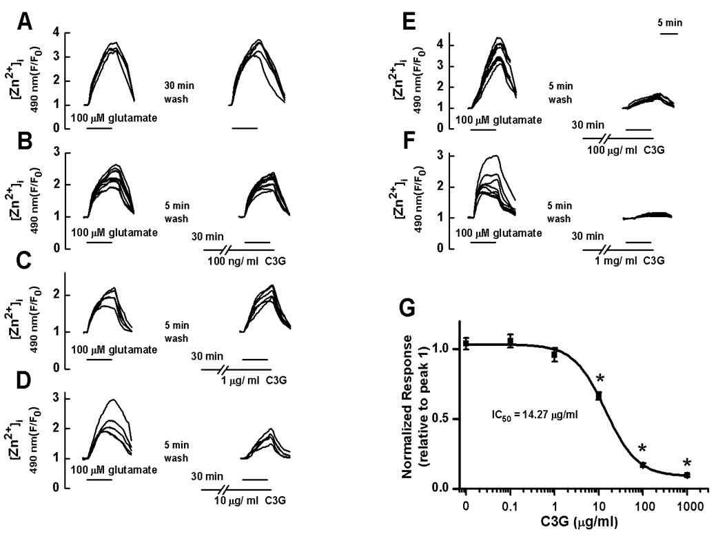 glutamate에 의한 세포내 Zn2+신호에 대한 콩에서 추출한 cyanidin- 3-glucoside의 억제효과
