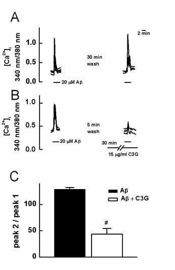 Aβ25-35에 의한 세포내 Ca2+증가에 대한 cyanidin-3-glucoside의 억제효과