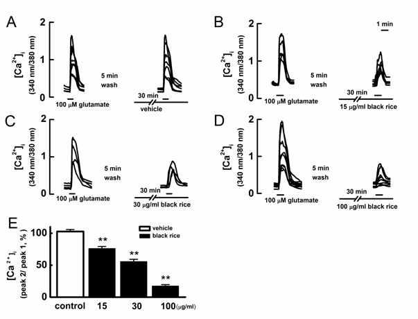 glutamate에 의한 세포내 Ca2+신호에 대한 흑미 추출물 (15 μg/ml, 30 μg/ml, 100 μg/ml)의 억제효과 ( **p < 0.01 대조군에 대해 유의).