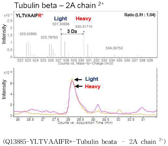 Trans-Proteomic pipeline (TPP)를 이용한 정량분석