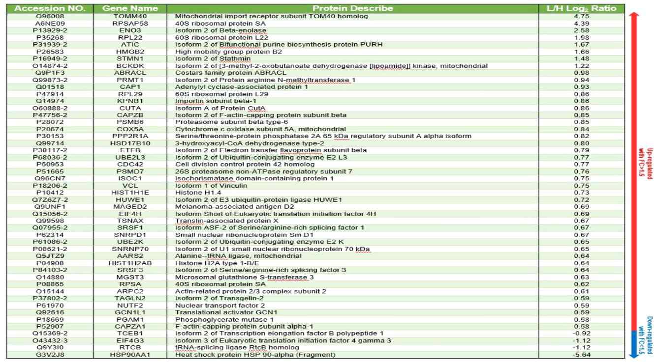 1.5-fold 이상 변화한 단백질의 목록과 그 변화 량