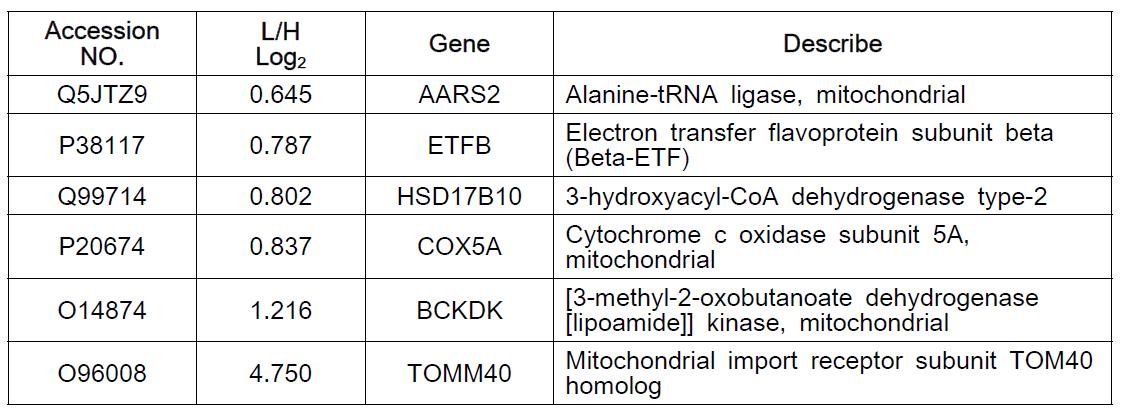 1.5-fold 이상 변화한 미토콘드리아 관련 단백질 목록
