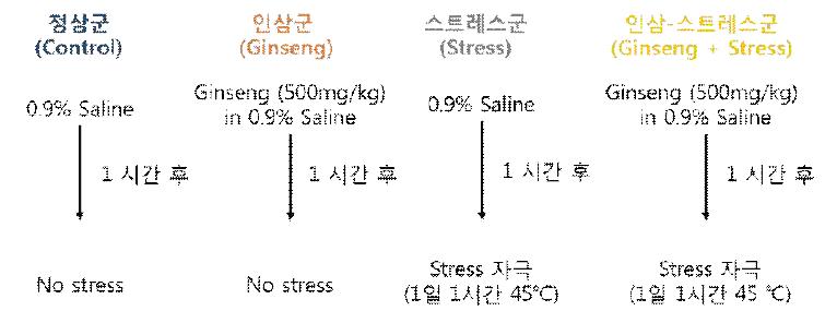 스트레스 동물모델의 실험군 개요