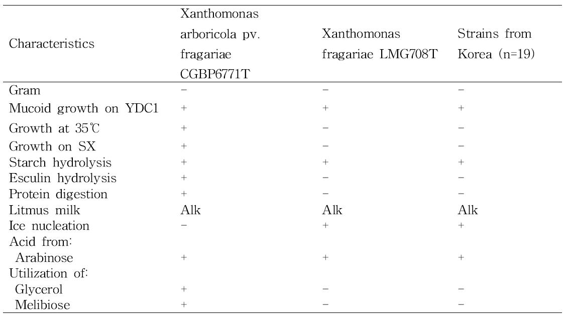 Biochemical and Physiological characteristics of Xanthomona fragariae strains from Korea