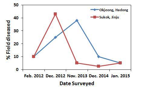 Survey of bacterial angular spot of strawberry at Okjeong, Hadong and Sukok, Jinju of Geongsangnam-do during Feb 2012 to Jan 2015.