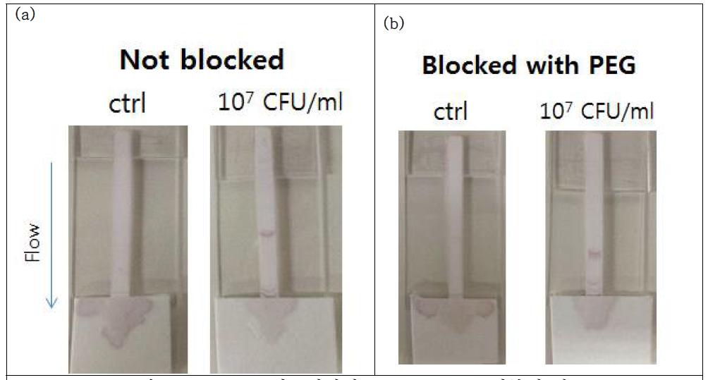 CBD-금나노입자의 PEG blocking 여부에 따른 lateral flow assay 실험 결과.