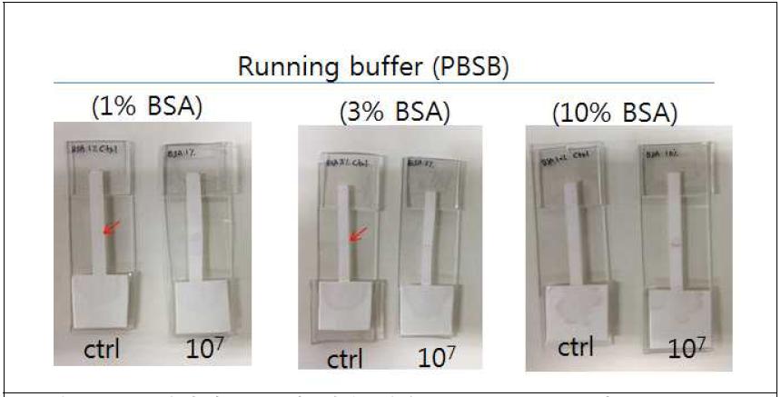 고정상에 BSA가 없을 경우, running buffer가 10% BSA를 포함 했을 때에만 false-positive 신호가 안 나옴 (빨간색 화살표).