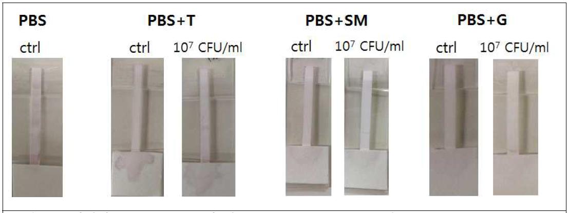 다양한 running buffer에 따른 lateral flow assay 결과. (PBS+T, PBS containing 0.05% tween 20; PBS+SM, PBS containing 10% skim milk; PBS+G, PBS containing 1% gelatin).