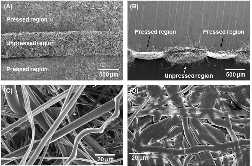 (A) 부분적으로 눌러진 polypropylene 시트의 상면. (B) 부분적으로 눌러진 polypropylene 시트의 측면. 압력으로 눌러진 부분이 눌리지 않은 부분에 비해 압축되어 두께가 비교적 얇아진 것을 확인 할 수 있음. (C) 누르지 않은 부분의 polypropylene 섬유조직. (D) 눌러진 부분의 polypropylene 섬유조직의 공극크기는 비교적 작아지며 전체적인 종이의 두께도 얇아지는 것을 확인 할 수 있음.