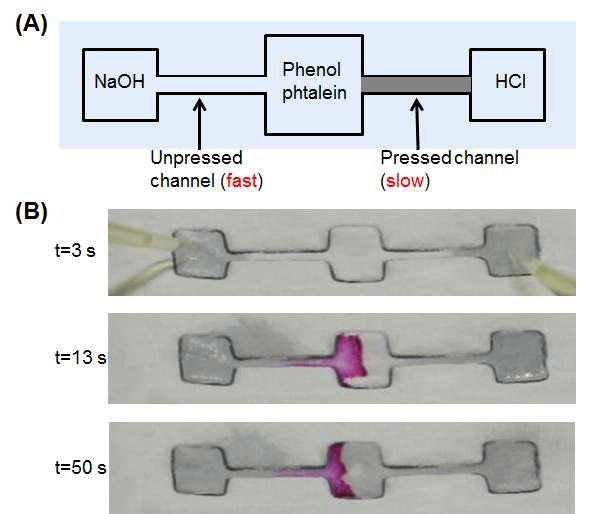 (A) 염기용액의 빠른 이송과 산성용액의 느린 이송을 위해 부분적으로 누른 채널의 도식. (B) 염기 용액이 먼저 phenolphtalein과 반응하여 분홍색을 발색한 후 눌린 채널로 인해 느리게 투과된 산성 용액이 phenolphtalein과 반응하여 다시 무색으로 변화시키는 과정.