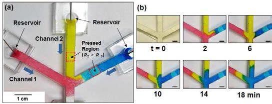 (a) 순차적 유체이송을 구현하기 위한 실험 셋업. (b) 시간에 따른 각 색소의 순차적 이송