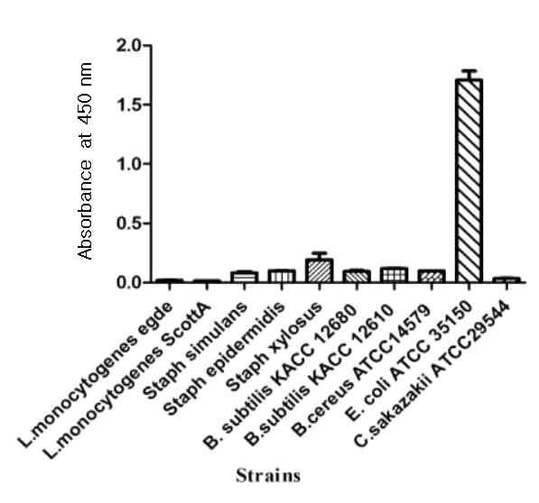 Reactivity of EC2C6 against whole cells of gram positive bacteria in ELISA