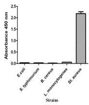 Reactivity of SA7E3 against surface proteins of different bacteria
