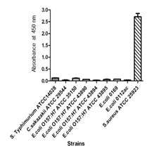 Reactivity of SA7E3 against whole cells of gram negative bacteria in ELISA