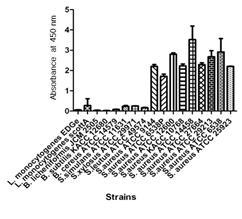 Reactivity of SA7E3 against whole cells of gram positive bacteria in ELISA