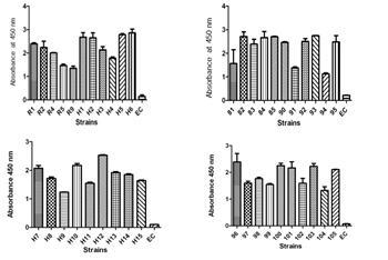 Reactivity of SA7E3 against whole cells of S. aureus isolates in ELISA