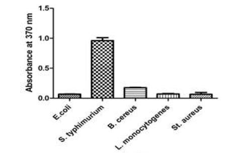 Reactivity of S. Typhimurium ATCC 14028 against surface proteins of different bacteria