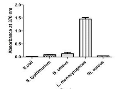 Reactivity of ST8C7 against whole cells of gram negative bacteria in ELISA