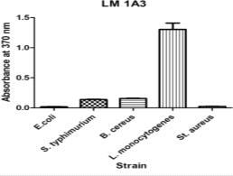 Reactivity of L. monocytogenes EGDe against surface proteins of different bacteria