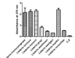 Reacitivty of LM1A3 against whole cells of Listeria spp. in ELISA