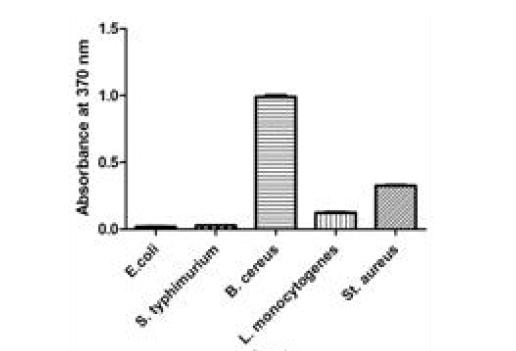 Reactivity of BC4B7 against surface proteins of different bacteria