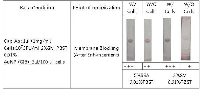 membrane blocking 샘플에서 enhancement 적용 시험
