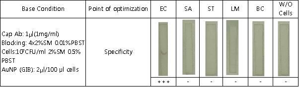 PBST 농도 조절을 통한 SA와의 false positive 반응 제거 시험