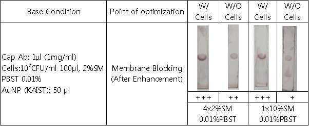 KAIST 방법을 이용한 lateral flow detection에서 enhancement 적용