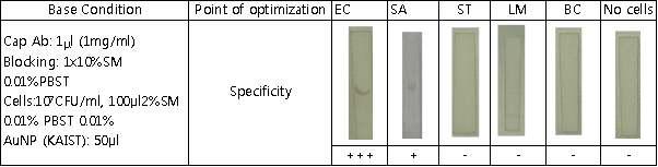 1x10% SM membrane blocking을 이용한 EC2C6의 specificity 시험