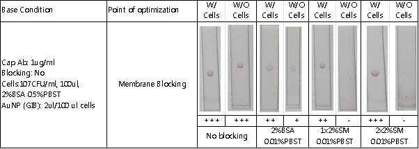 GIB 방법을 이용한 lateral flow detection에서 membrane blocking의 최적화