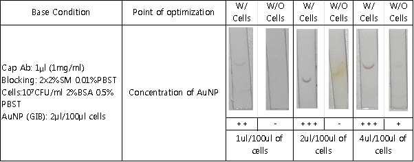 GIB 방법을 이용한 lateral flow detection에서 AuNP 농도의 최적화