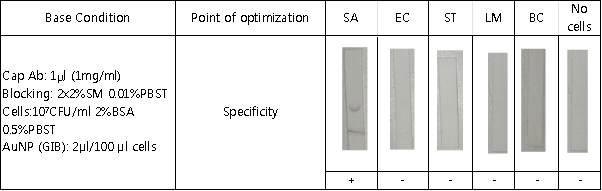 2% BSA in 0.5% PBST running buffer, 2% SM in 0.01% blocking condition에서의 specificity 시험