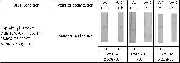 KAIST 방법을 이용한 lateral flow detection(SA7E3)에서 blocking 조건 최적화